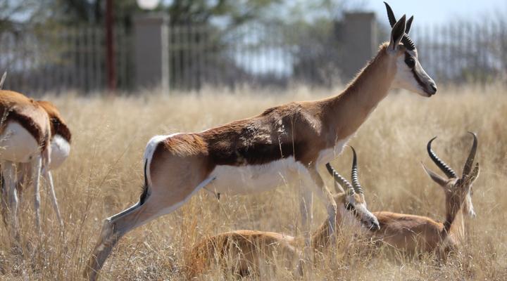 Klondike Guest Lodge