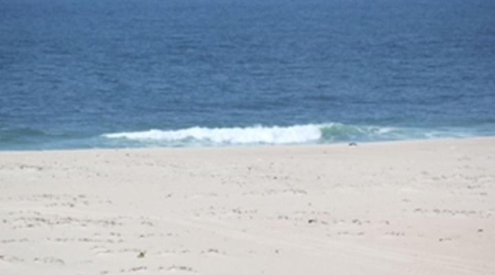 Paradise Chicavele Resort