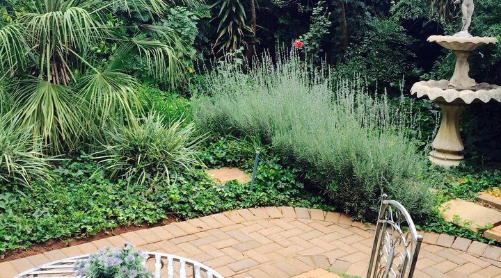 Allegro Guest House Self Catering