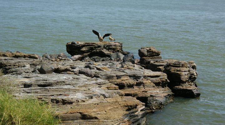 Eliye Springs Resort