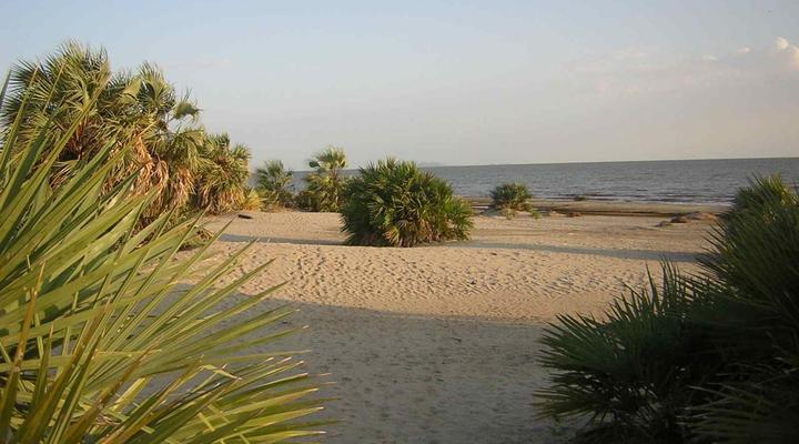 Eliye Springs Resort