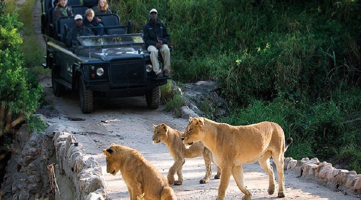 2 Night Safari Package at Skukuza Rest Camp Kruger National Park SANParks