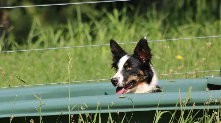 Lalani Bed and Breakfast