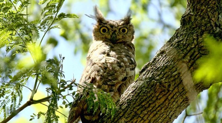 Tala Collection Private Game Reserve