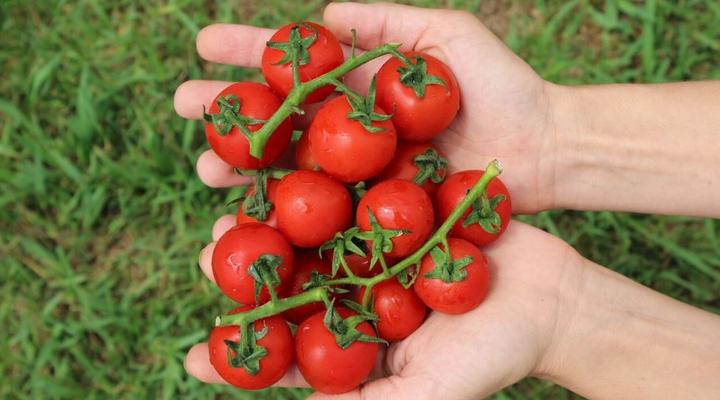 2 Night Country Yoga Retreat Package