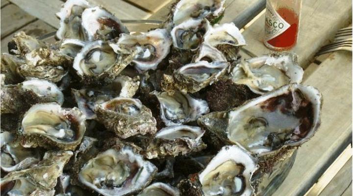 Freedom O Clock Backpacking Retreat