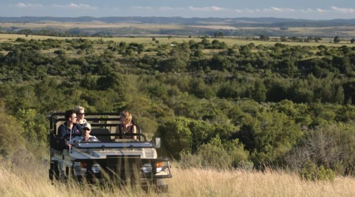 6 Night Cape Town and Safari