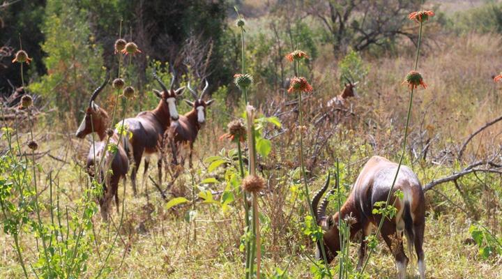 Kloof Bed & Breakfast
