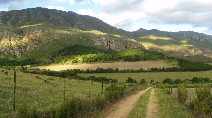 Mazwil Retreat