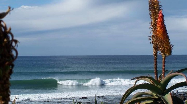 No 8 @ Blues Bay