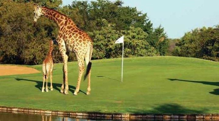 2 Night Safari Package at Skukuza Rest Camp Kruger National Park SANParks
