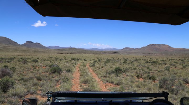 Diepkloof