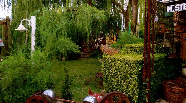 Calvinia Magic Garden 