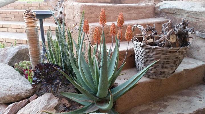 Aloe View Guest House