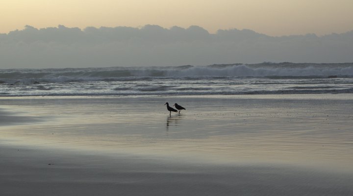 Sea For Miles Self-Catering