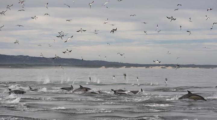 16 Beach Music (Est 2008) 