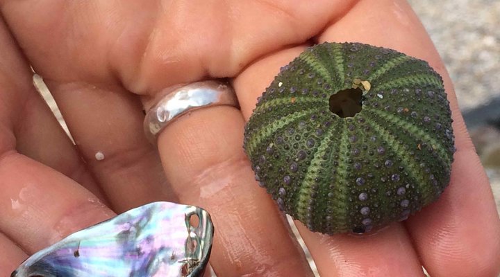 Nature's Valley Cottage