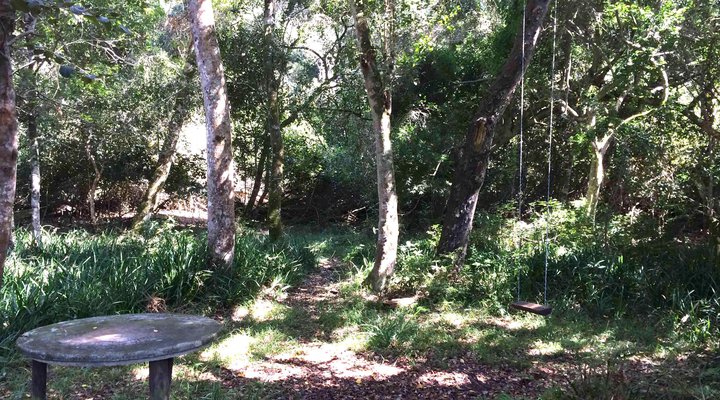 Nature's Valley Cottage