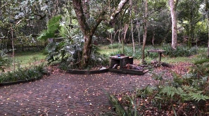 Nature's Valley Cottage