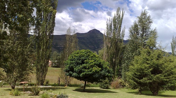 Avante Self-Catering