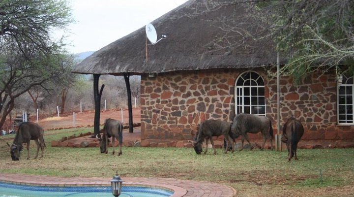 Bushbuck Hills Eco Farm