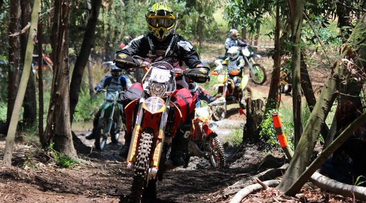 Bushbuck Hills Eco Farm