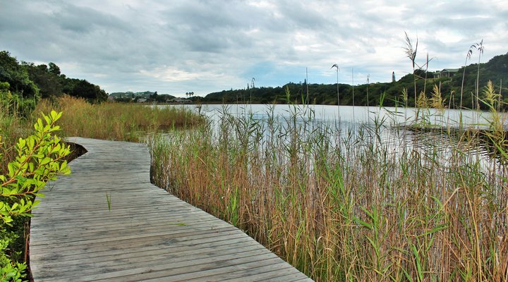 The Cormorant Guest House