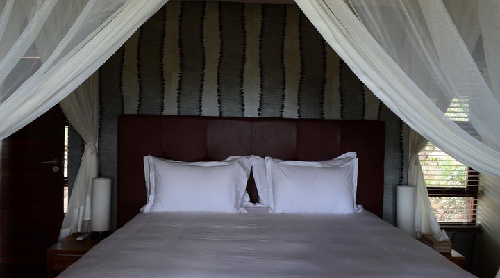 4 Night Classic Cape Town and Safari