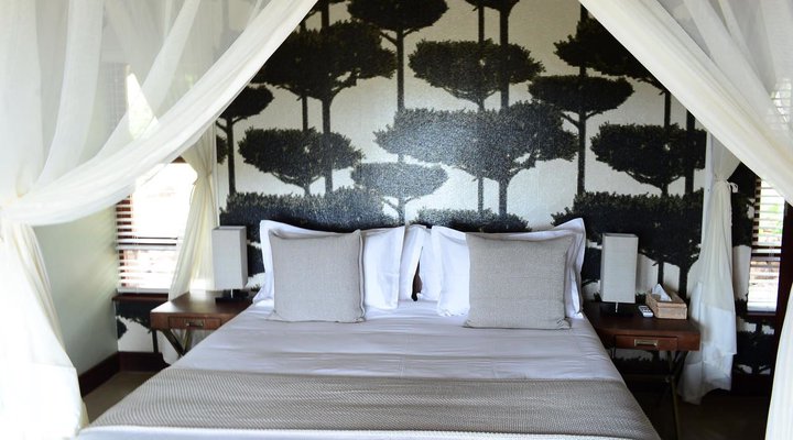 4 Night Classic Cape Town and Safari