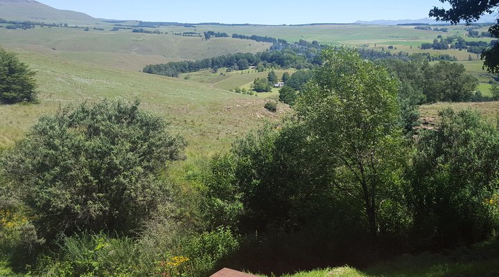 Over The Edge Cottage 2