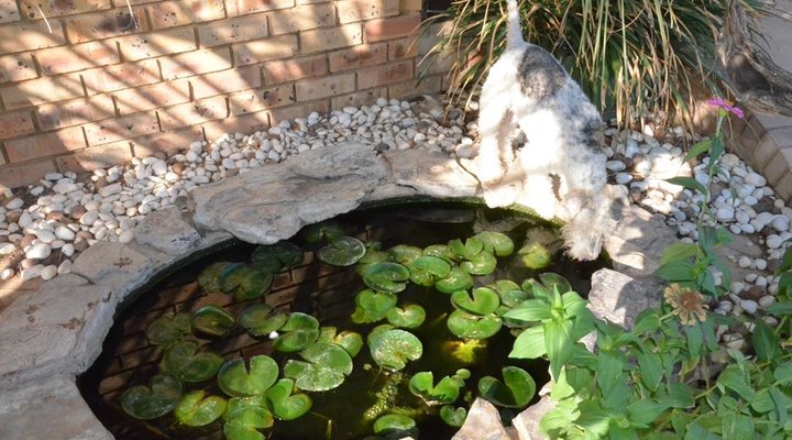 Setlhare Guest Lodge