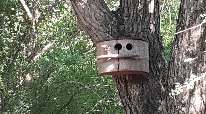 Absolute Safari Guest Lodge