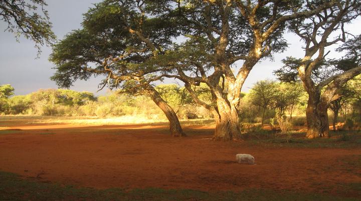 North Hills Country House