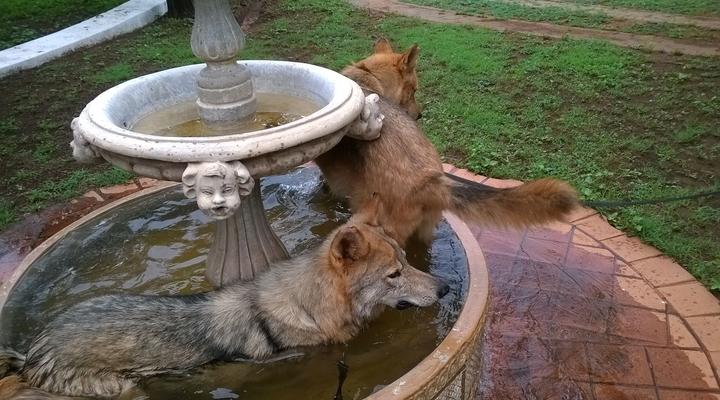 North Hills Country House