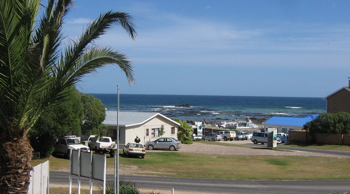 Whale 'n Shark Accomodation