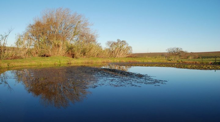 Linquenda Guest Farm
