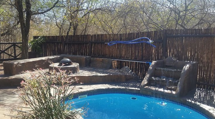 Penny Lane Marloth Park