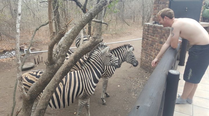 Penny Lane Marloth Park