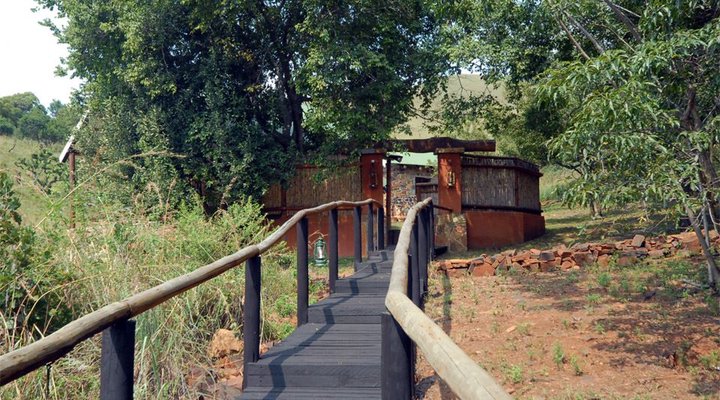 Wild Fig Retreat