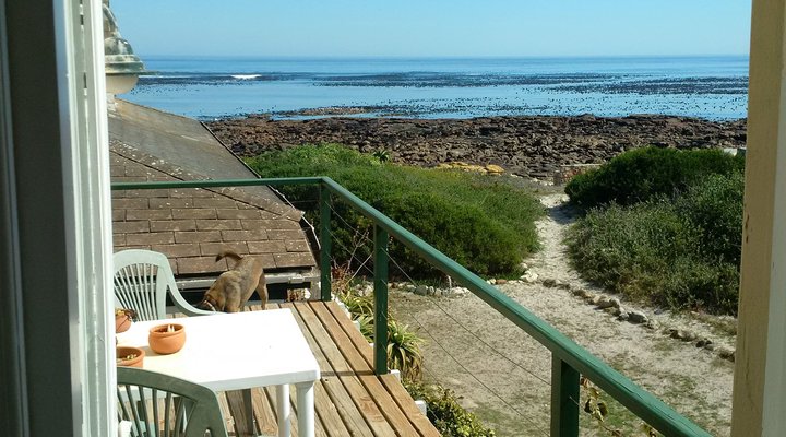 Lorelei Historical Beachfront Cottage