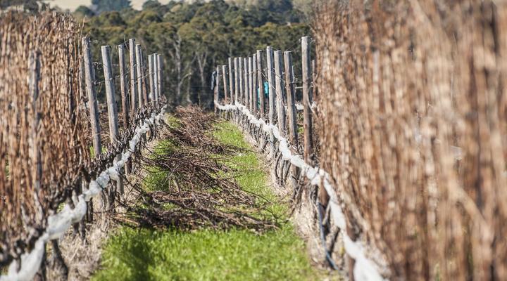 Packwood Wine and Country Estate