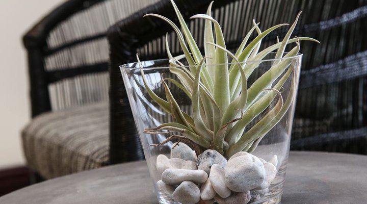 Oyster Rock Umhlanga Luxury 2 Bedroom