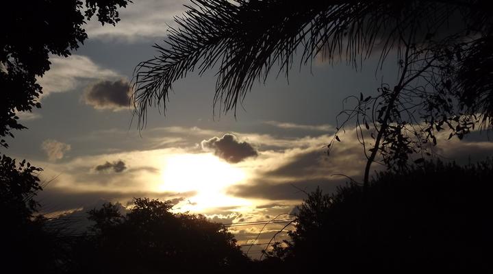 Suzi's Place Guest Rooms