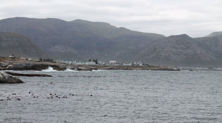 Hermanus Beach Club 165