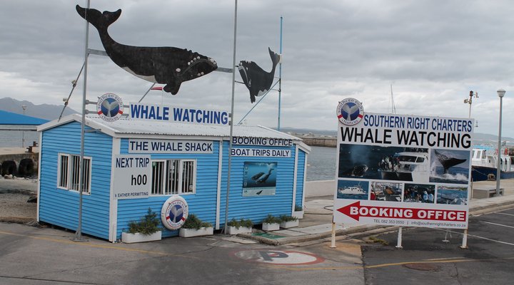 Hermanus Beach Club 165