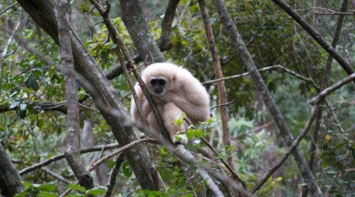 3 Day Garden Route Big 5 & Bungy Tour (Return)