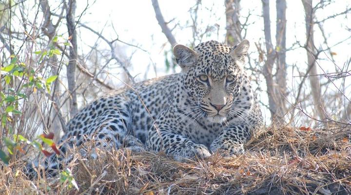 3 Day Elephant Trumpets Tour