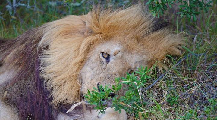 3 Day Elephant Trumpets Tour