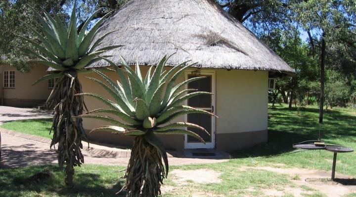 3 Day Elephant Trumpets Tour