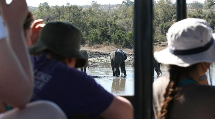 2 Night, 3 Day Marc's Treehouse Kruger Safari